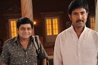 NTR Dammu Exclusive Stills